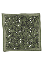 Load image into Gallery viewer, Maison Lecomte Flament Fine Cotton Voile Scarf in Leo Green
